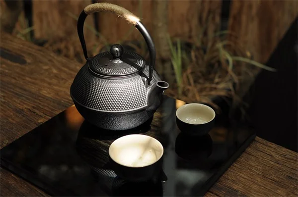 冬の庭を劇的に変える！在来植物で冬の興味を引き出す実践術