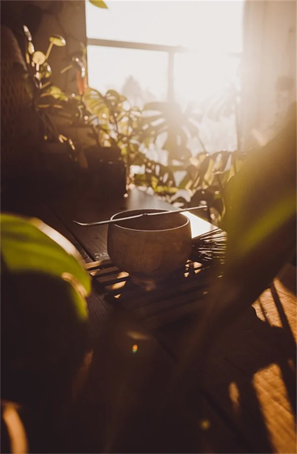 にんにくの植え付け時期はゾーン別でこれだけ違う！成功する栽培スケジュール完全ガイド