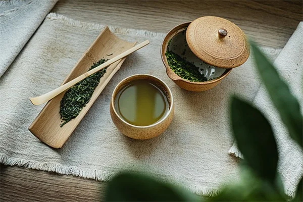 3月に分けるべき宿根草9選！無料で庭を増やすコツ