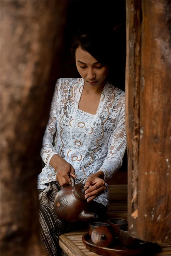 【牡丹の花言葉】色別5つの意味と歴史・文化をわかりやすく解説